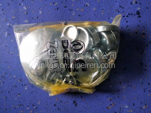 客車公交車東風(fēng)天龍全車水堵配件指南 11b031-c價(jià)格、圖片與廠家解析